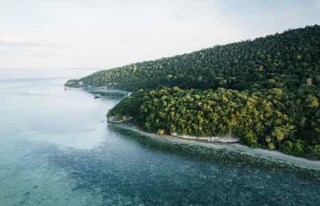 cruiseImg0