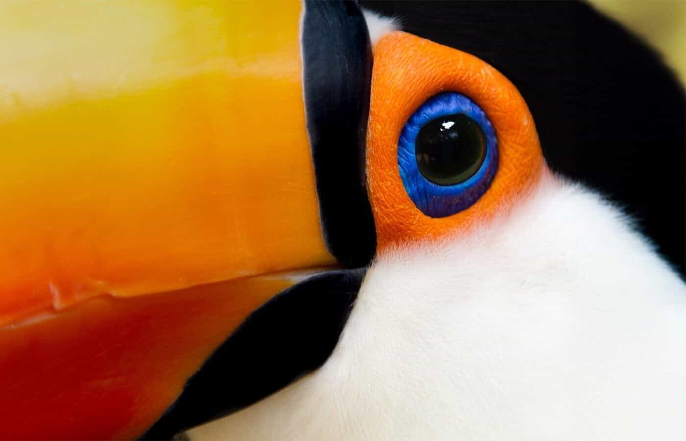 img0