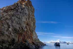 cruiseImg0
