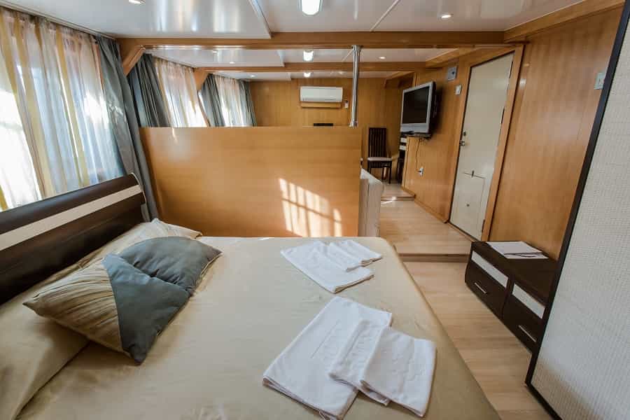 cruiseImg1